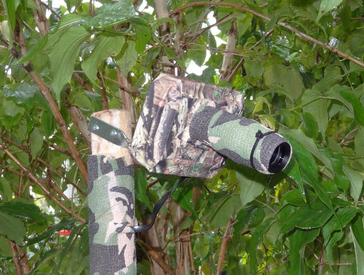 A Raspberry Pi Is a Great Platform for Building an Inexpensive, Yet High-Quality, Wildlife Camera