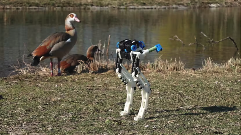 BirdBot Uses Dinosaur, Bird-Inspired Design to Dramatically Improve Legged Robot Efficiency