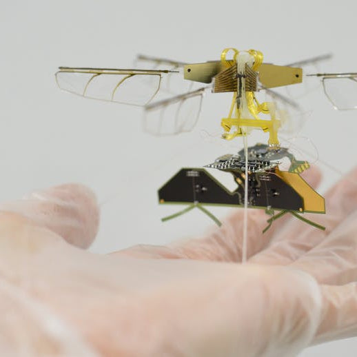 No-Contact, Wireless Charging Aerial Insect Bot Created by Toyota R&D Labs