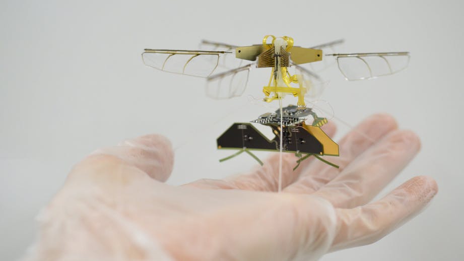 No-Contact, Wireless Charging Aerial Insect Bot Created by Toyota R&D Labs