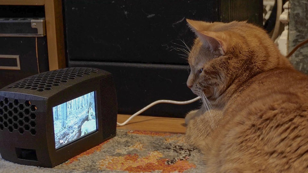 TV for Cats with Raspberry Pi