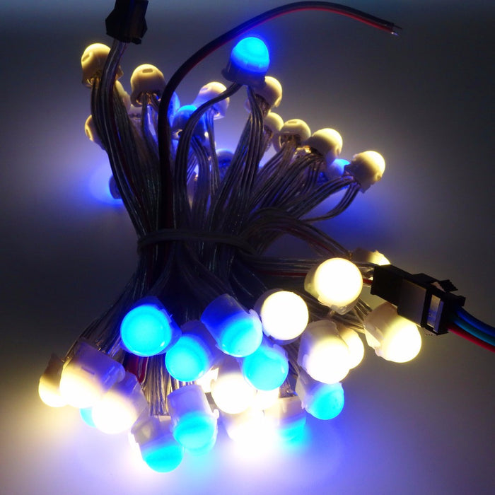 Pre-wired SK6812 12mm RGB LED Pixel Strings - 50 Pieces from PMD Way with free delivery worldwide