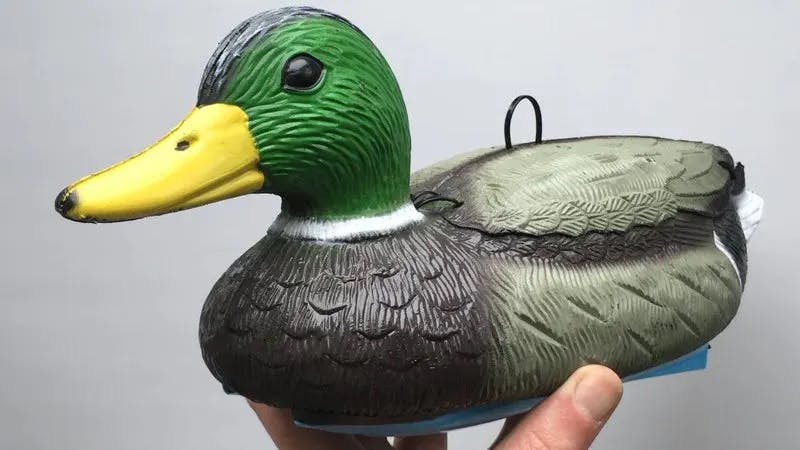 Dave the Remote Control Duck Is an Interesting Take on the RC Boat