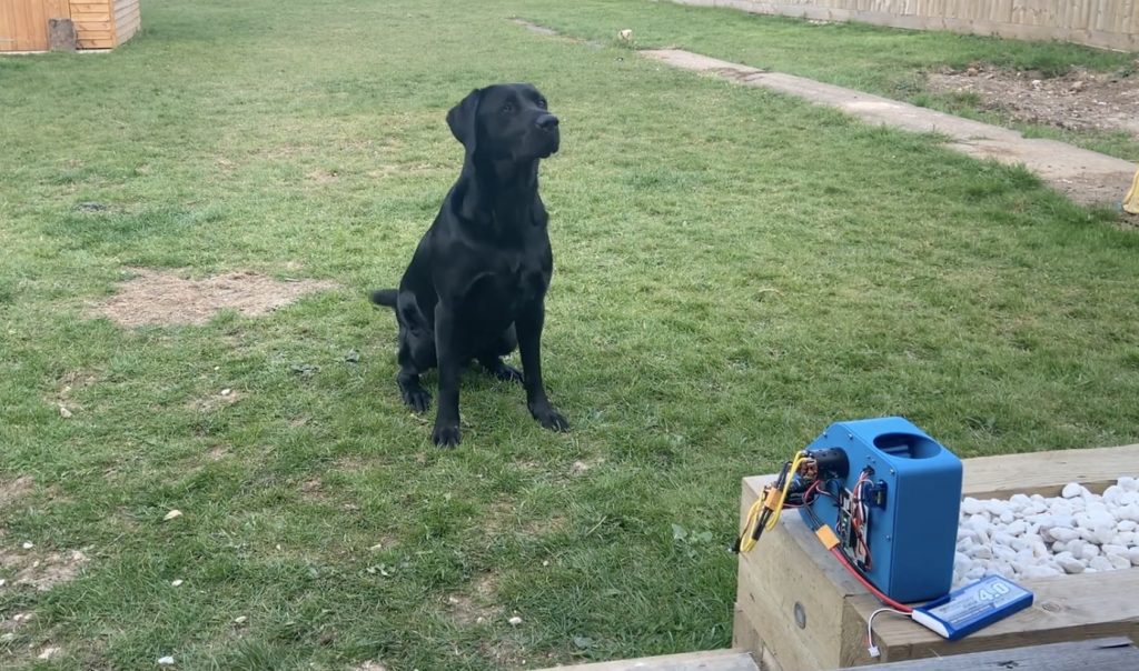 This Arduino-controlled ball launcher lets your pup play fetch for hours