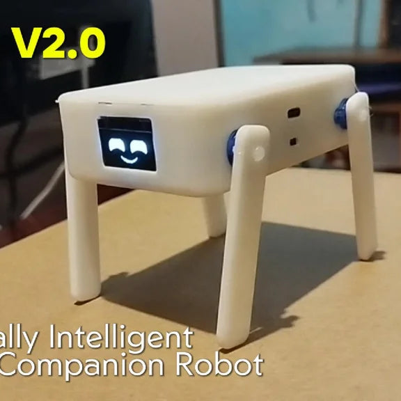 The TN-24 V2.0 - A Cute Desktop Companion Robot