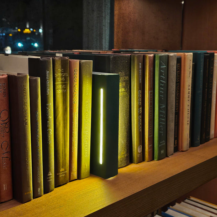 The Slide in Slide Out Bookshelf Light