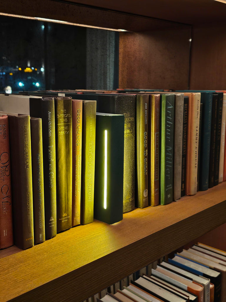 The Slide in Slide Out Bookshelf Light