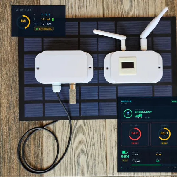 LoRa Based Smart Disaster and Environment Monitoring System