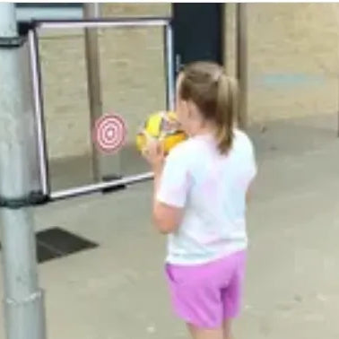 Accessible Target Throwing System