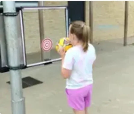 Accessible Target Throwing System
