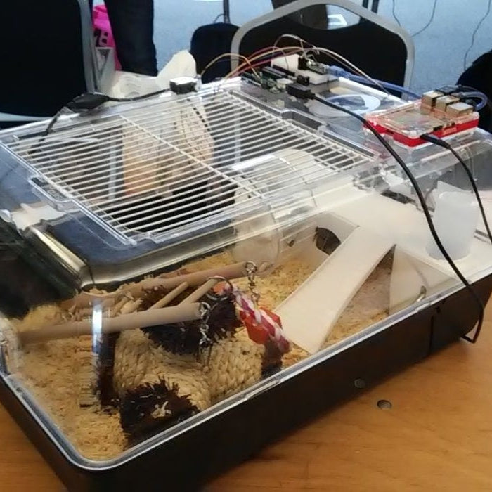 Build an interactive tweeting hamster cage with Arduino and Raspberry Pi