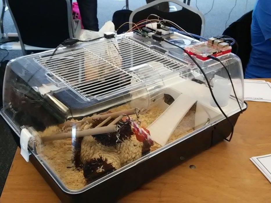 Build an interactive tweeting hamster cage with Arduino and Raspberry Pi