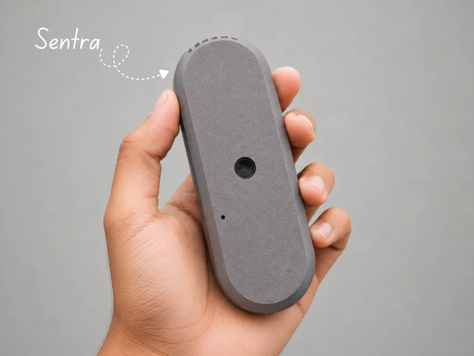 Sentra — the Smartest DIY CCTV Camera