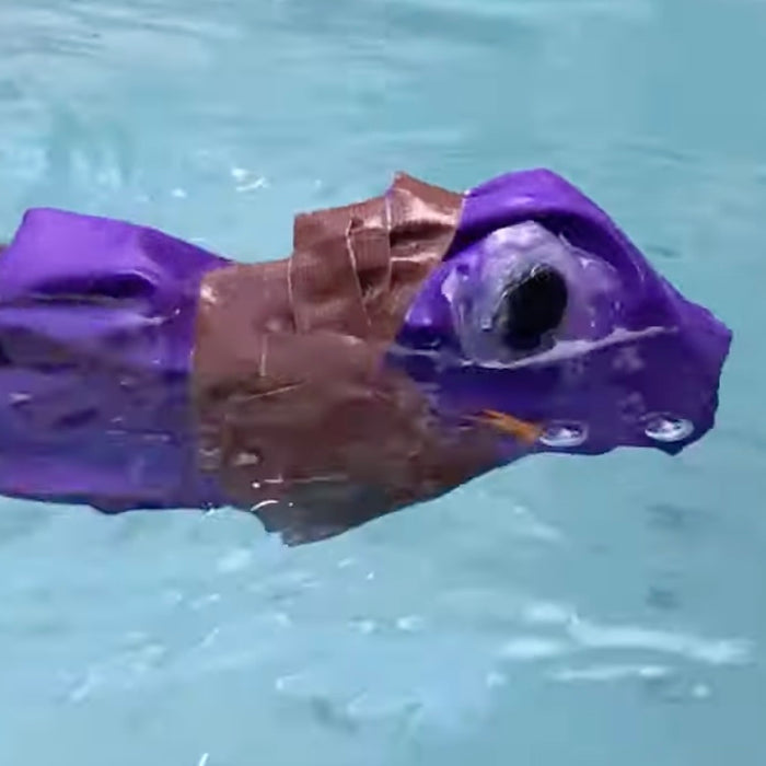 This Arduino-powered robotic fish swims like the real thing