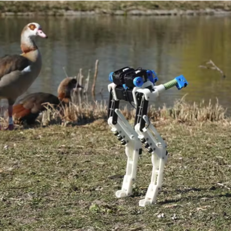 BirdBot Uses Dinosaur, Bird-Inspired Design to Dramatically Improve Legged Robot Efficiency