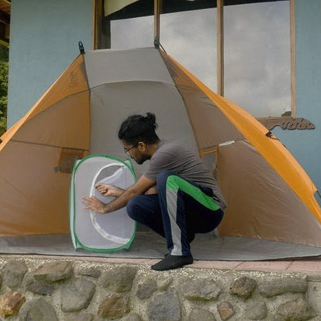 A Raspberry Pi-Powered Insect Tracker Provides New Insight Into Daytime Activity