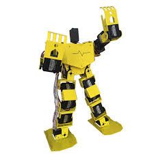 Bipedal Robot Kits from PMD Way with free delivery, worldwide