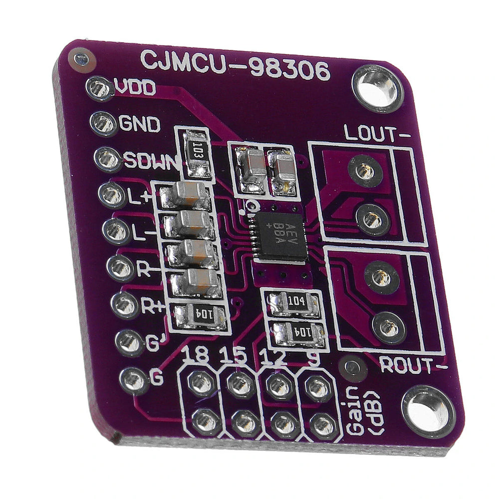 MAX98306 amplifier module from PMD Way with free delivery