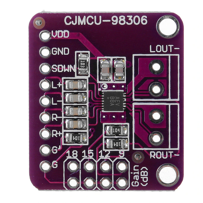 MAX98306 amplifier module from PMD Way with free delivery