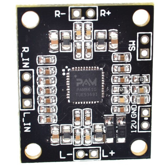 Powerful PAM8610 2 x15W class D Power Amplifier Board from PMD Way with free delivery worldwide