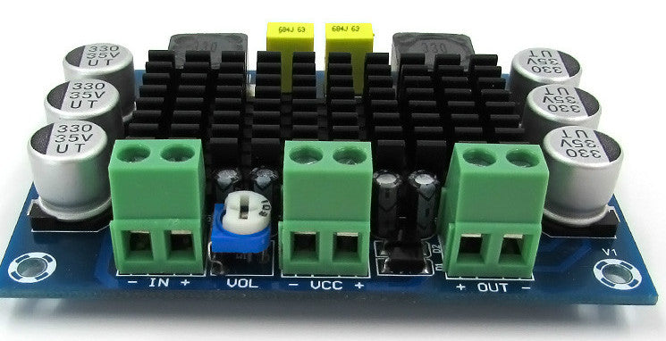 Powerful TPA3116D2 100W Mono Amplifier Board from PMD Way with free delivery worldwide