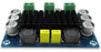 Powerful TPA3116D2 100W Mono Amplifier Board from PMD Way with free delivery worldwide
