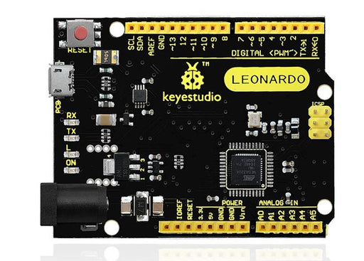 Arduino Leonardo compatible from PMD Way with free delivery worldwide 